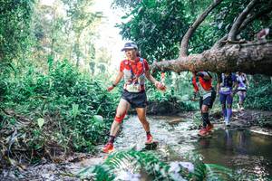 BIB: 
                            <button type="button" onclick="openModal(25436604)" class="btn btn-primary btn-sm float-right btn-popup" data-toggle="modal" data-target=".modal-high-quality">
                        <i class="fas fa-shopping-cart"></i> Add to Cart
                    </button>
                                            <button type="button" onclick="isThisMe(25436604, true)" class="btn btn-success btn-sm float-right btn-popup btn-isme hidden" data-toggle="tooltip" data-placement="bottom" title="นี่คือรูปของคุณใช่ไหม คลิกที่นี่เพื่อเอาเข้าอัลบั้ม">
                        <i class="fas fa-plus"></i> Add to album
                    </button>
                    <button type="button" onclick="isThisMe(25436604, false)" class="btn btn-warning btn-sm float-right btn-popup btn-isnotme hidden">
                        <i class="fas fa-ban"></i> Remove from album
                    </button>